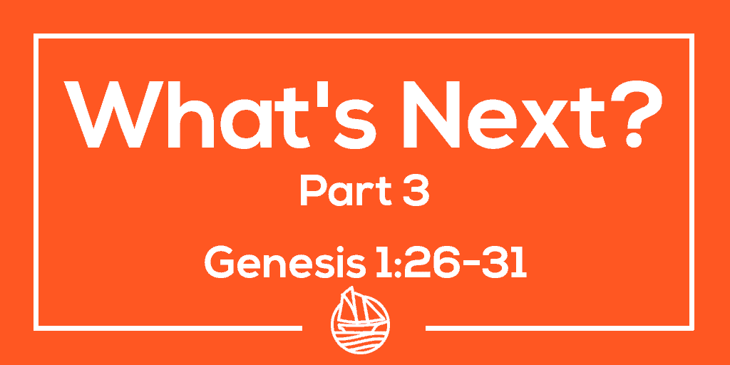 What’s Next? Part Three – Genesis 1:26-31